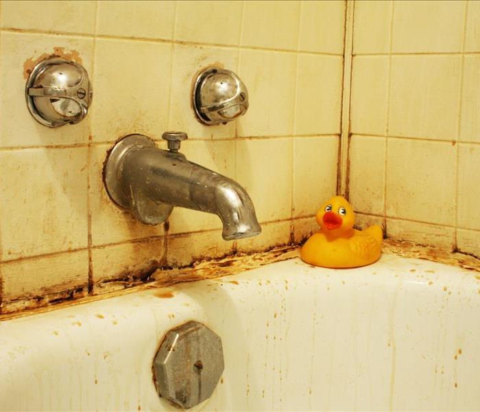 Image of a bathtub with sewage backup residue
