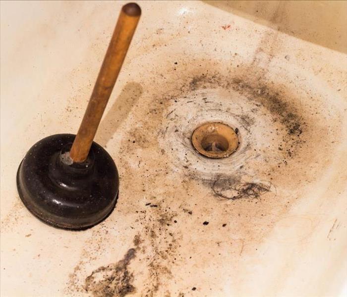Image of a plunger