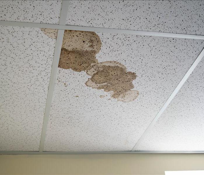 Brown water damage on dropped ceiling tile