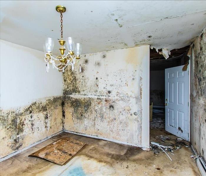 Room with water damage and mold
